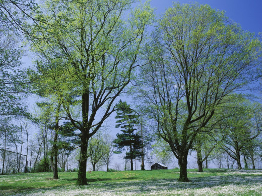 46369 (a): :1600x1200